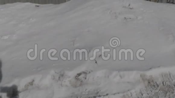 这孩子倒在雪地上双手和双脚都黑了视频的预览图