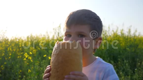 肖像小男孩在户外公园吃面包饥饿的快乐的孩子在背光的草地上吃食物视频的预览图