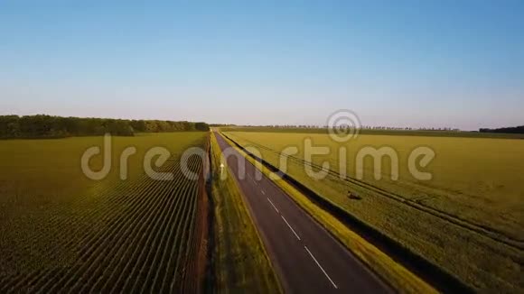 空中射击夏天的傍晚白色的汽车驶过空旷的乡间小路穿过黄绿相间的田野视频的预览图