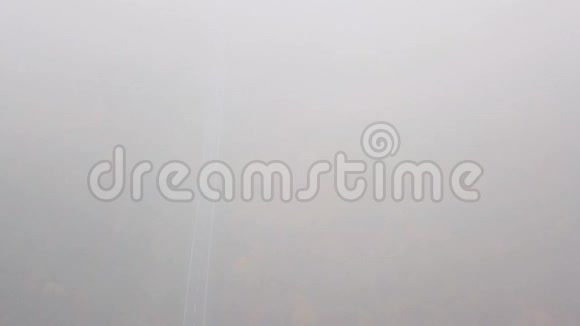在秋林环绕的路上透过雾气降落视频的预览图