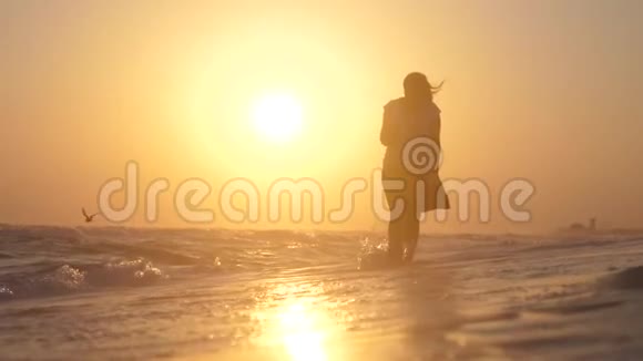 考虑周到的深褐色的年轻女子独自走在沙滩上光着脚在日落时慢动作鸟儿在上面飞翔视频的预览图