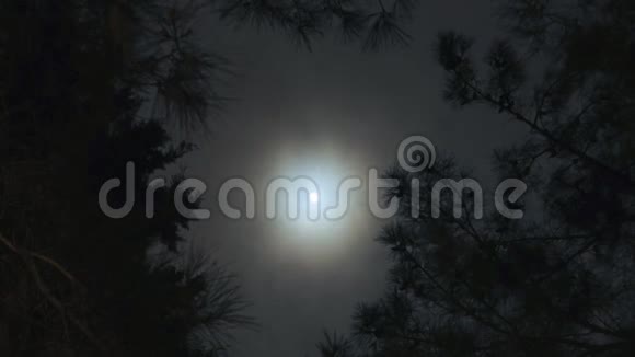森林月亮和飞云时光流逝视频的预览图