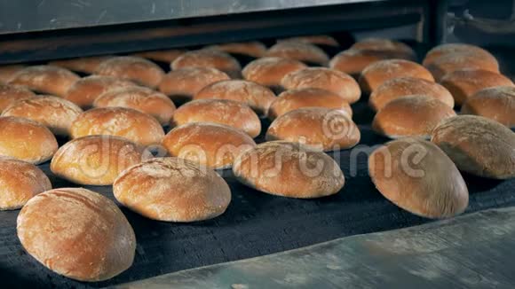 食品加工厂准备好的面包从烤箱里出来视频的预览图