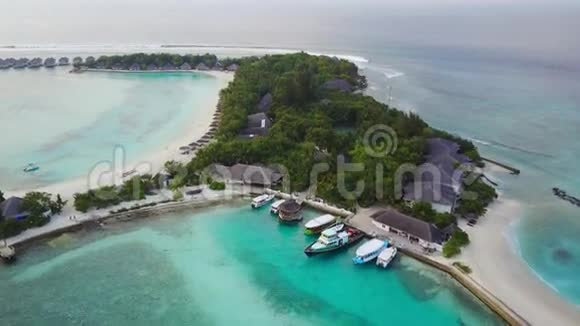 带白沙棕榈树和马尔代夫绿松石印度洋的热带岛屿度假酒店码头视频的预览图