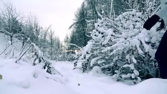 瘦小的年轻女子穿着灰色夹克走在美丽的雪冬森林中慢镜头冷色调视频的预览图