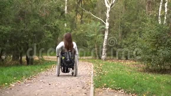 迷人的女孩坐在轮椅上走在秋天的公园里残疾人休闲视频的预览图
