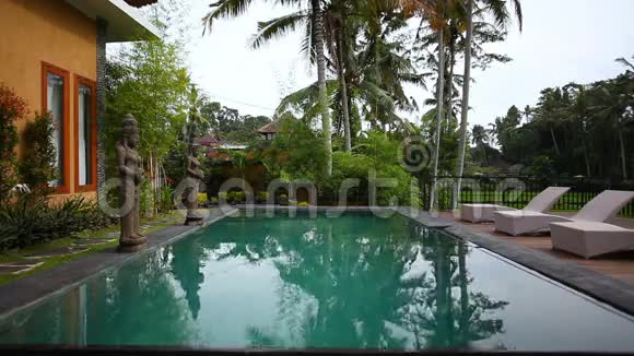 棕榈树背景下别墅里的游泳池和日光浴视频的预览图