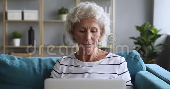 快乐的老奶奶用手提电脑看屏幕视频的预览图