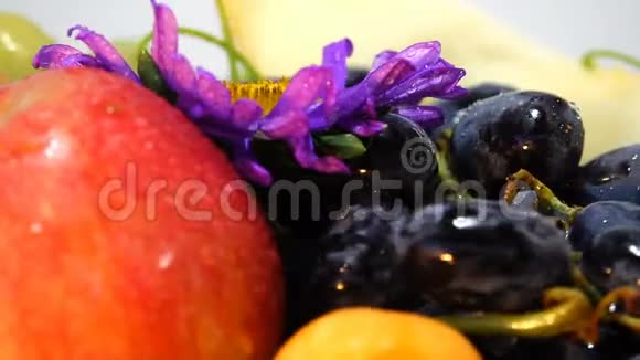 水果浆果的组成视频的预览图