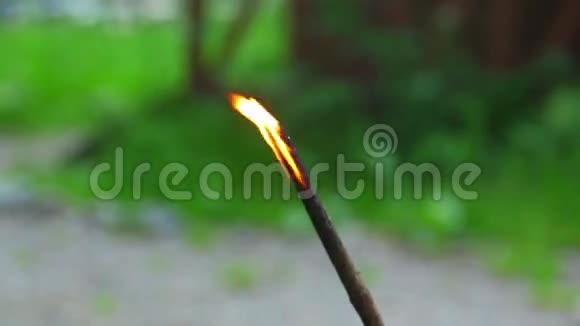 燃烧的树枝视频的预览图