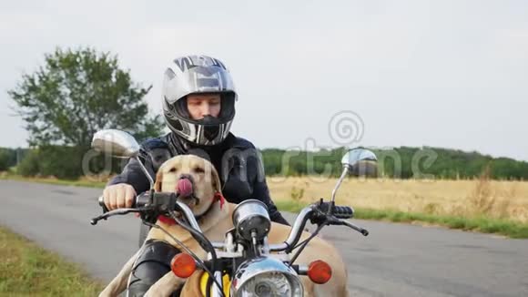 一只狗坐在户外摩托车上视频的预览图