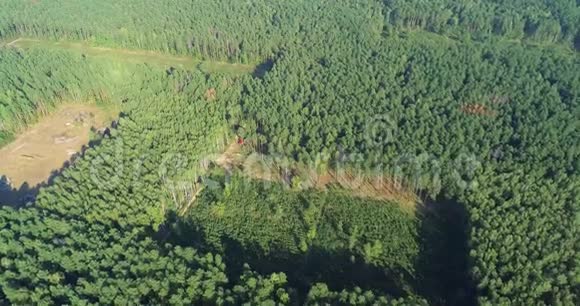 砍伐森林砍伐森林视频的预览图