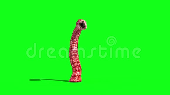 怪物异形虫3攻击前绿幕3D渲染动画视频的预览图