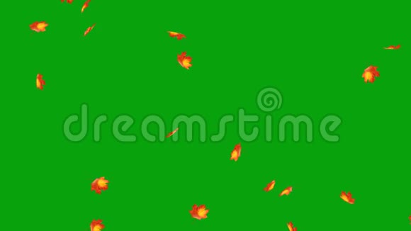 枫叶飘落绿幕背景视频的预览图