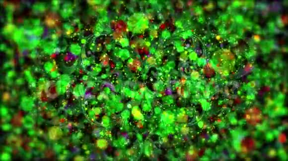 闪尘圈绿色多彩背景及透明观赏花视频的预览图