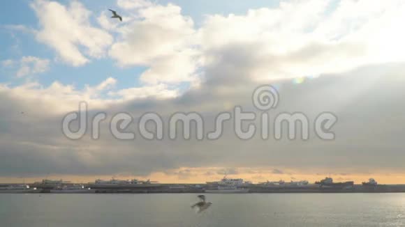 海鸥带着云彩飞向天空视频的预览图