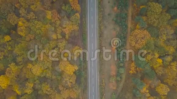 秋季森林环绕的道路上卡车和其他交通的鸟瞰图视频的预览图