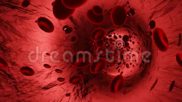 红细胞在动脉或血管中运动视频的预览图