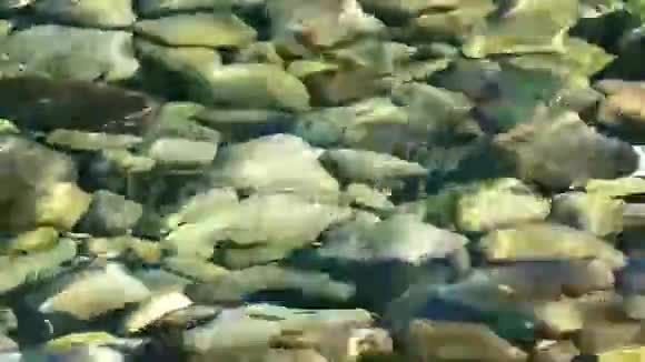 海下的岩石视频的预览图