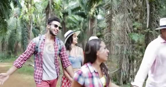 热带棕榈树公园游客在森林小径上徒步旅行的人群青年男女视频的预览图