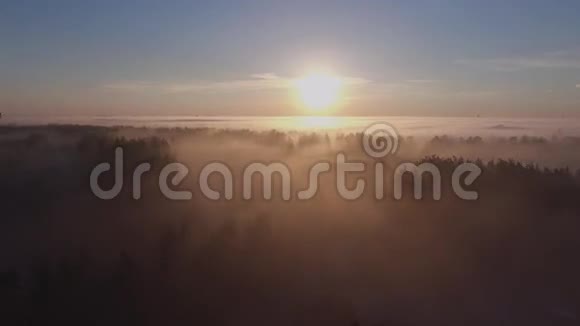 空气4K晨雾视频的预览图
