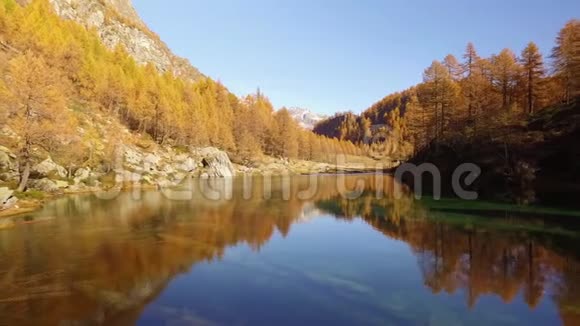 波夫看着湖边的木头特雷和雪骑阳光明媚的秋日在五彩缤纷的红林野生自然山中徒步旅行视频的预览图