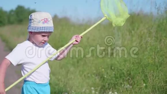 在草地上用网捕蝴蝶的男孩炎热的晴天新鲜空气中的娱乐视频的预览图