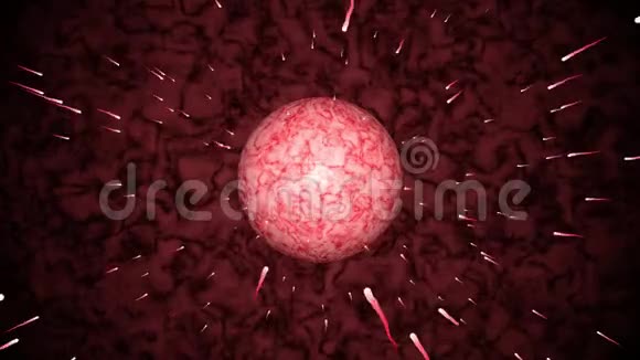 输卵管无缝环中接近卵细胞或卵子的精子运动斗争百万次视频的预览图
