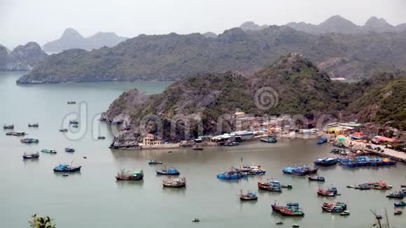 越南海龙湾渔港猫巴岛视频的预览图