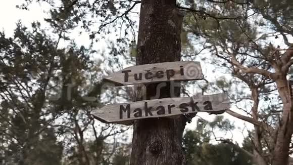 松树公园马卡斯卡城的指针视频的预览图