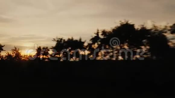 树木的剪影透过阳光照射从一辆移动汽车的窗户看视频的预览图