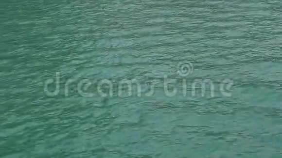 海龙湾翡翠水越南猫巴岛视频的预览图