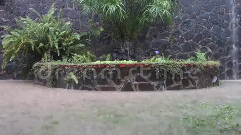 热带地区的暴雨视频的预览图