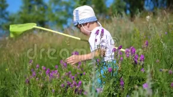 在草地上用网捕蝴蝶的男孩炎热的晴天在新鲜空气中娱乐快乐的童年视频的预览图