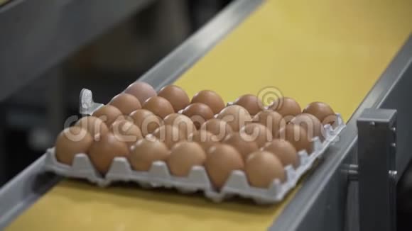 生产线上的鸡蛋视频的预览图