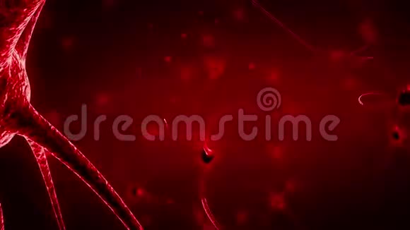 突触神经元神经连接三维渲染动画红色背景视频的预览图