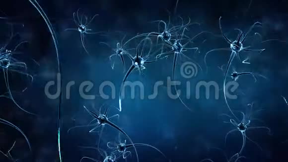 神经元神经细胞三维渲染动画背景视频的预览图