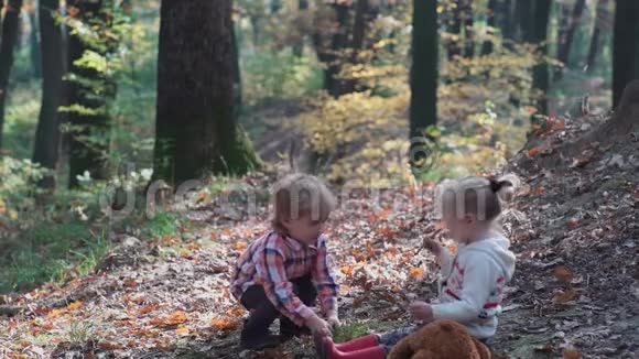 初恋森林里的孩子森林里的孩子们女孩和男孩在森林里玩秋天夏天快乐的孩子视频的预览图
