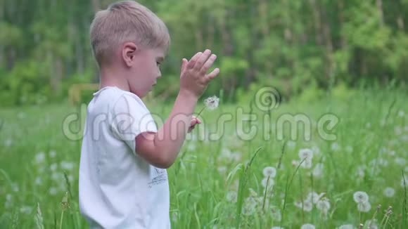 帅哥在公园里吹蒲公英种子慢动作视频的预览图