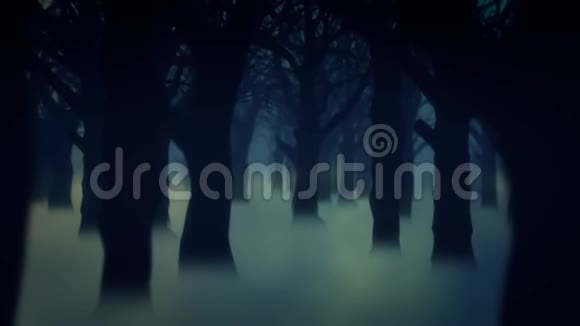 4黑森林雾树动画背景壁纸视频的预览图