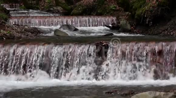 森林溪流山河在岩石上流淌慢动作视频的预览图