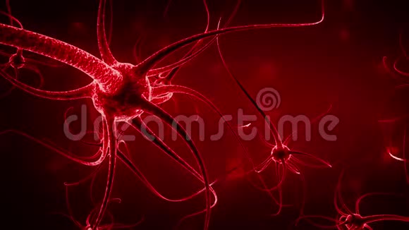 神经元神经连接三维渲染动画红色背景视频的预览图