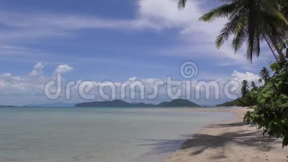 热带岛屿海滩平静的大海白沙棕榈树视频的预览图