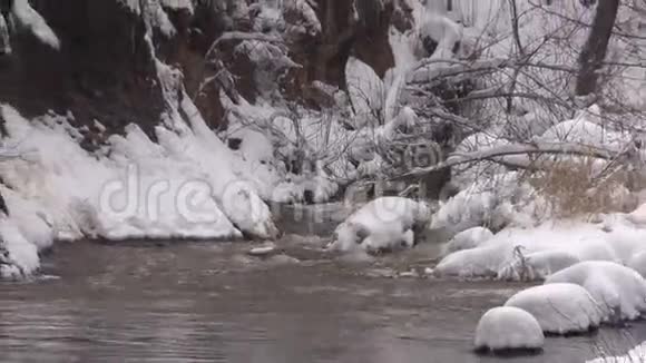 冬天从溪流中缩放视频的预览图