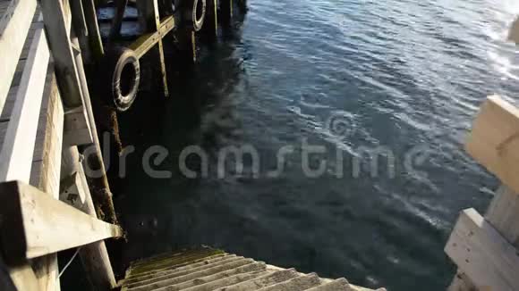 美丽的平静的波浪阳光反射在水面上木墩楼梯下到水中视频的预览图