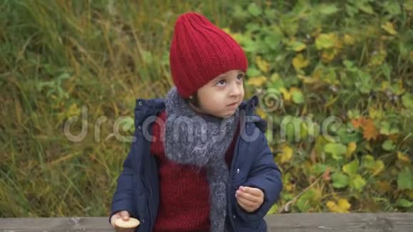 穿着蓝色夹克戴着红色针织帽子戴着灰色围巾的小男孩视频的预览图