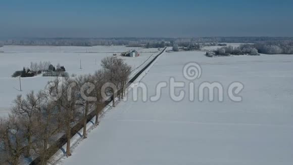 冬季景观有道路和霜树小巷空中视频的预览图