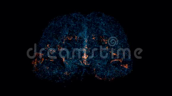神经元在头部飞行神经活动突触神经递质大脑轴突视频的预览图
