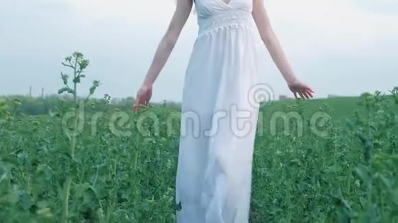 春天的时尚肖像一位美丽快乐的年轻女子穿着白色连衣裙棕色长发走在绿色的田野里视频的预览图