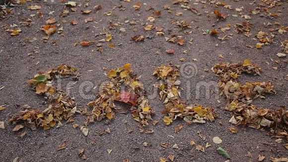 秋天出售的铭文是由树上的金色落叶制成的视频的预览图